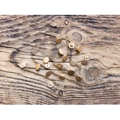 Пуговицы MX 1741/Mate Gold/16L